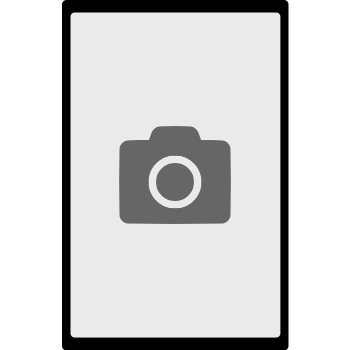 Kameratausch Samsung Galaxy Tab A (2016) LTE