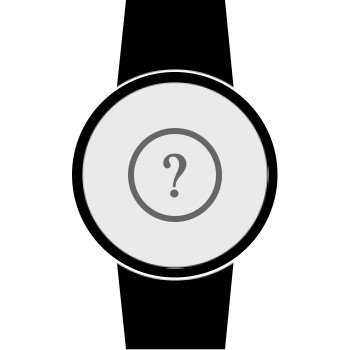 Fehlerdiagnose Samsung Galaxy Watch 42 mm
